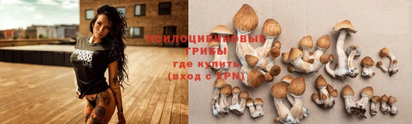 spice Абдулино