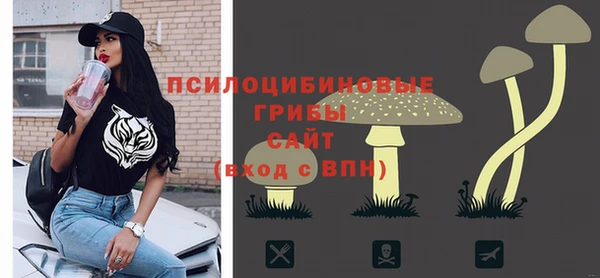 прущий лед Майский