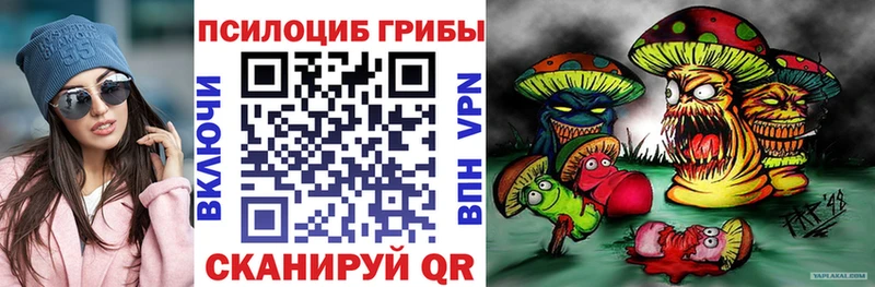 Псилоцибиновые грибы GOLDEN TEACHER  закладка  Щёкино 